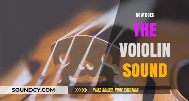 Exploring the Rich, Expressive Tones of the Violin's Unique Sound