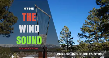 Exploring the Soothing and Wild Symphony of Wind's Unique Sounds