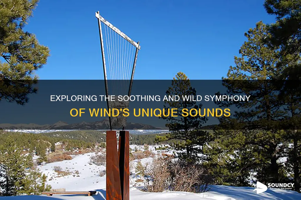 how does the wind sound
