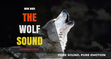 Unveiling the Mystique: How Does the Wolf Sound in the Wild?