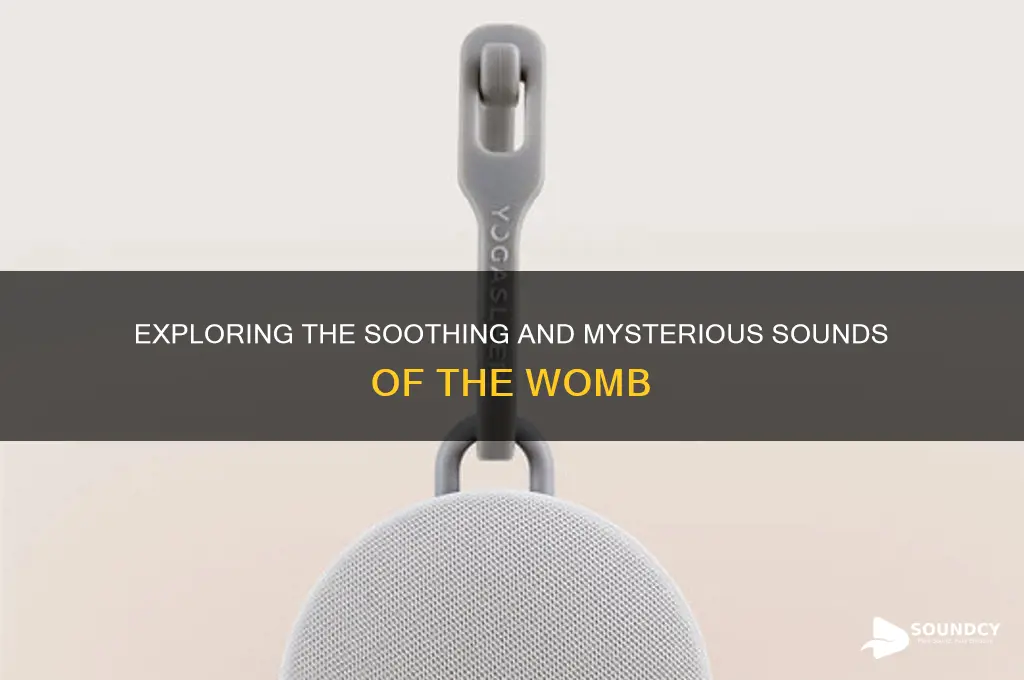how does the womb sound