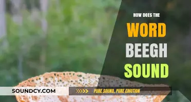 Exploring the Unique Sound and Pronunciation of the Word 'Beegh