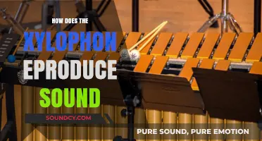 Unveiling the Xylophone's Magic: How Bars and Mallets Create Sound