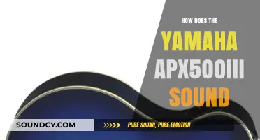 Yamaha APX500III Sound Review: Acoustic Excellence in an Electric Body