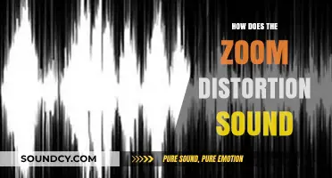 Understanding Zoom Distortion Sound: Causes, Effects, and Solutions Explained