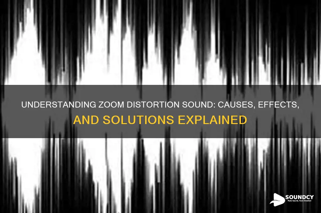 how does the zoom distortion sound