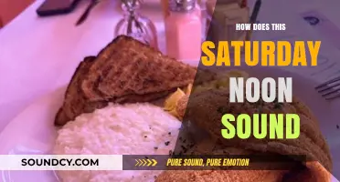 Perfect Saturday Noon: Relaxing, Productive, or Adventurous? You Decide!
