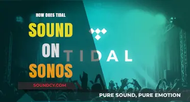 Experience Tidal's Hi-Fi Audio Quality on Sonos Speakers: A Review