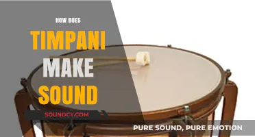 Unveiling the Vibrant Resonance: How Timpani Produces Its Majestic Sound