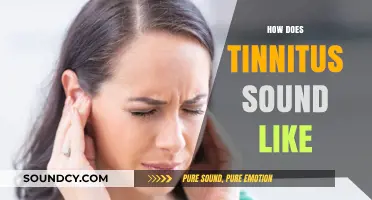Understanding Tinnitus: What Those Persistent Ringing, Buzzing, or Hissing Sounds Mean