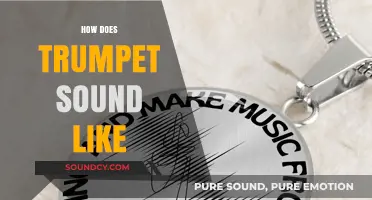 Exploring the Bold, Bright, and Vibrant Sound of the Trumpet