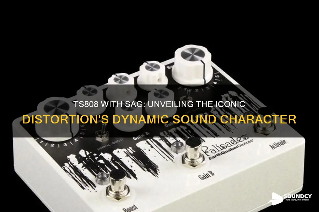 how does ts808 sound with sag