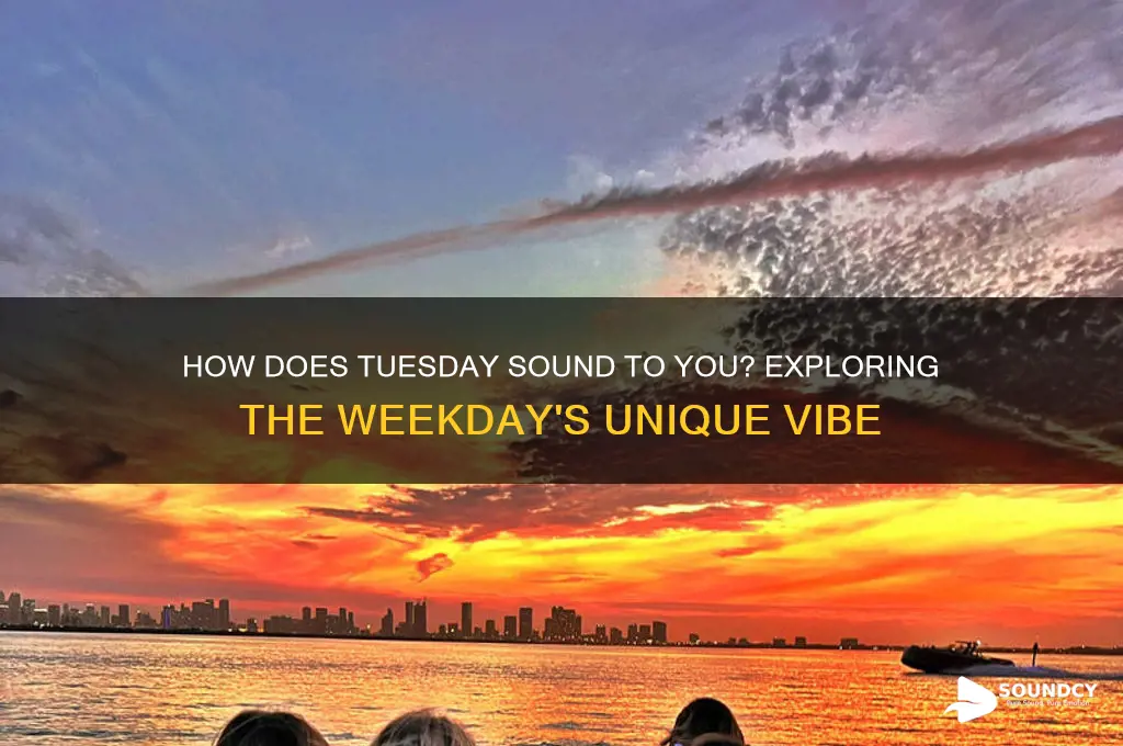 how does tuesday sound to you
