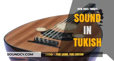 Discover the Authentic Sound of Turkey in Turkish Language and Culture