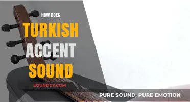 Exploring the Unique Musicality and Rhythms of the Turkish Accent
