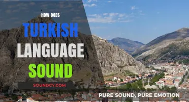 The Unique Melody of Turkish: Exploring Its Distinctive Sounds and Rhythms