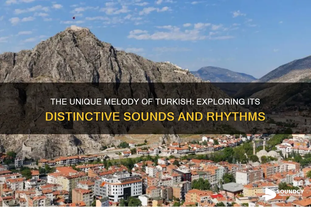 how does turkish language sound