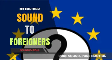 How Turkish Sounds to Foreign Ears: Unique Rhythms and Melodies Explored