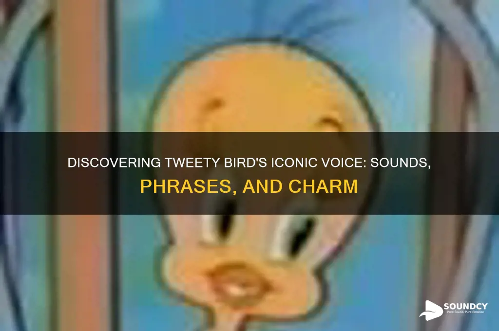 how does tweety bird sound