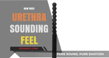 Exploring Urethral Sounding: Sensations, Experiences, and Personal Insights