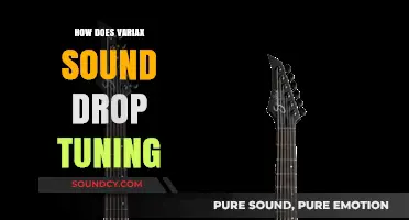 Variax Sound Drop Tuning: Enhancing Your Guitar's Versatility and Tone