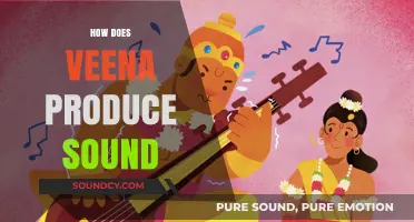 Unveiling the Magic: How the Veena Creates Its Soulful Sound