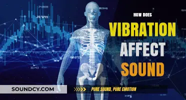 Vibration's Impact on Sound Quality: Exploring the Science Behind Audio