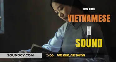 Mastering the Vietnamese 'H' Sound: A Unique Pronunciation Guide