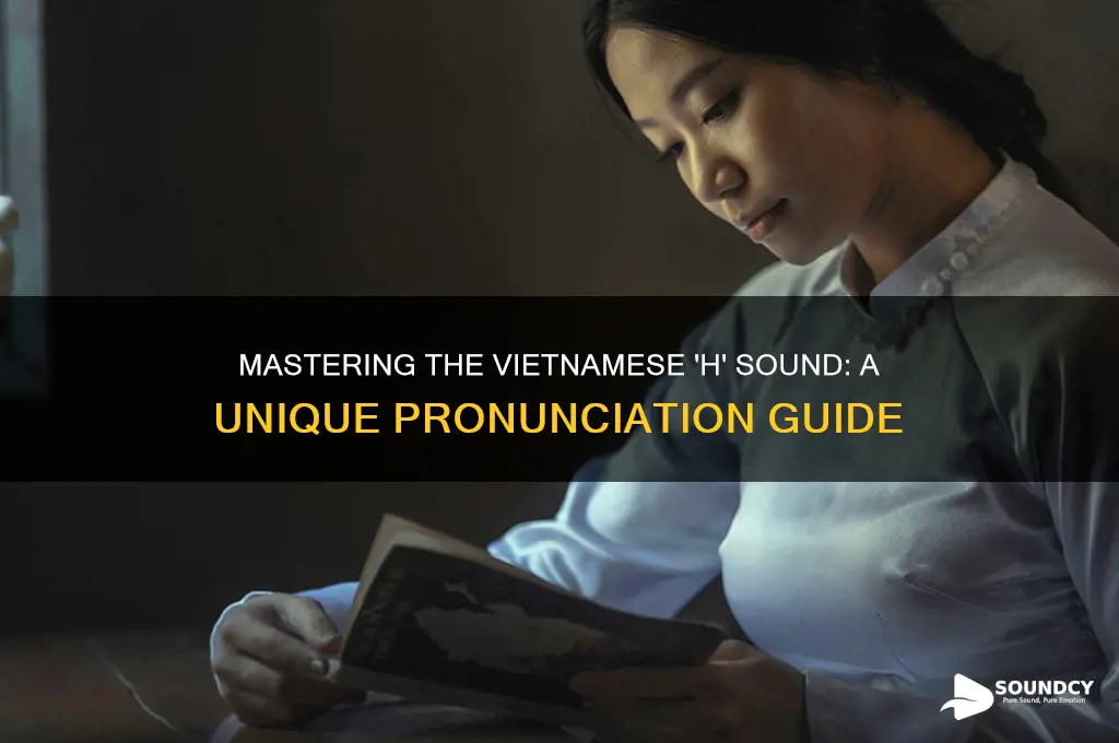 how does vietnamese h sound