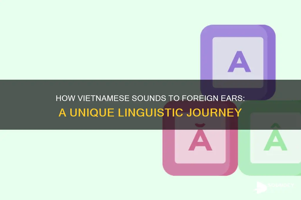 how does vietnamese sound to you