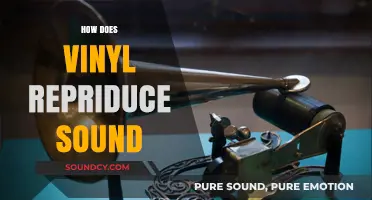 How Vinyl Records Reproduce Sound: A Detailed Explanation