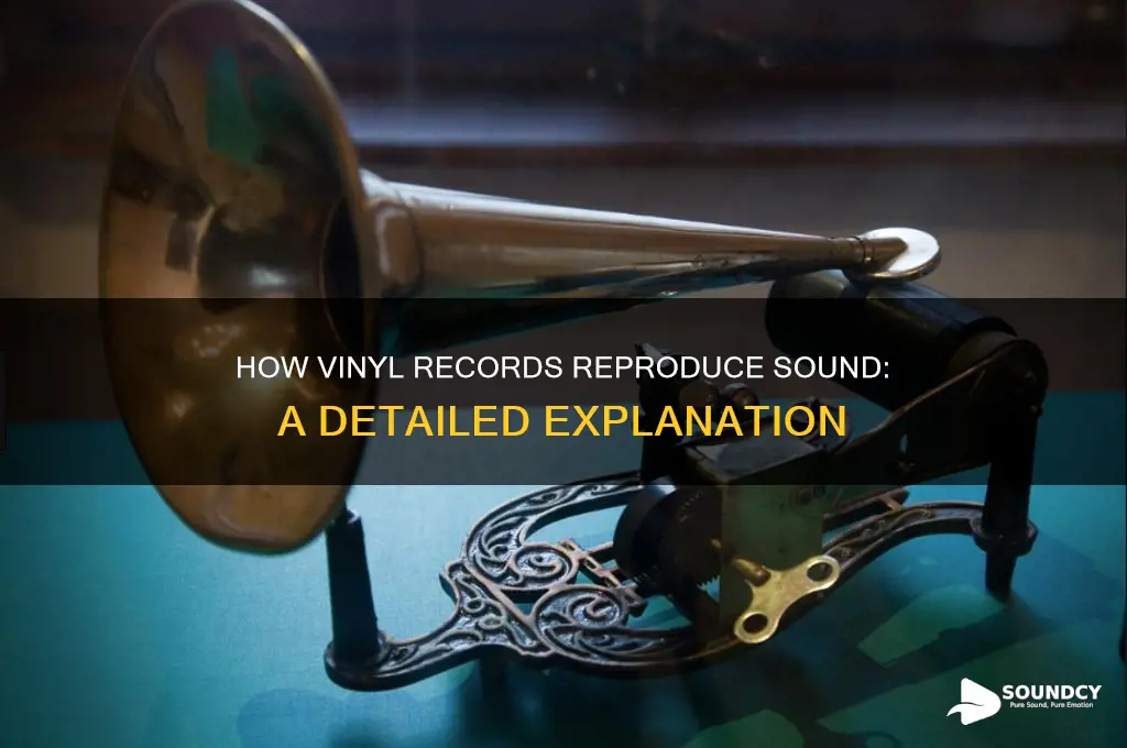 how does vinyl repriduce sound