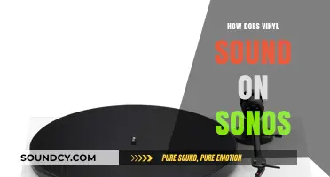 Vinyl on Sonos: Enhancing Analog Warmth with Modern Sound Technology