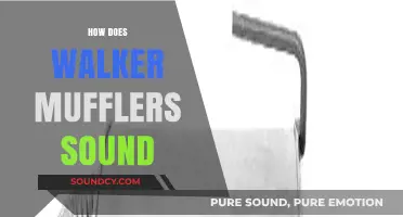 Walker Mufflers Sound: Performance, Tone, and Quality Explained