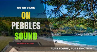 The Soothing Symphony: Exploring the Unique Sound of Walking on Pebbles