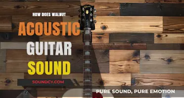 Walnut Acoustic Guitar Sound: Rich, Warm, and Resonant Tone Explored