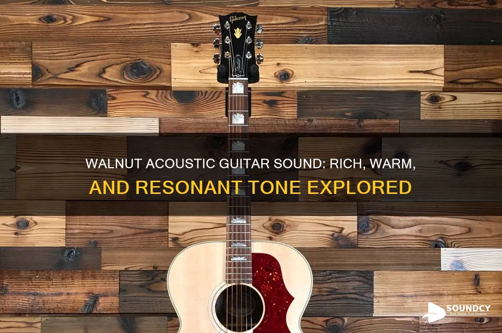 how does walnut acoustic guitar sound