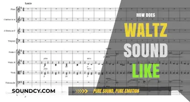 The Graceful Rhythms and Melodies of Waltz Music Explained