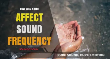 Water's Impact on Sound Frequency: Exploring Acoustic Phenomena in Liquids