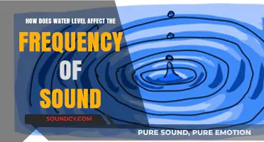Water Level Impact: How It Alters Sound Frequency Explained