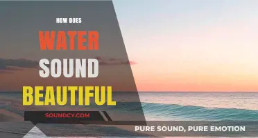 The Serene Symphony: Exploring the Enchanting Sounds of Water