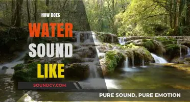 Exploring the Soothing and Dynamic Sounds of Water in Nature