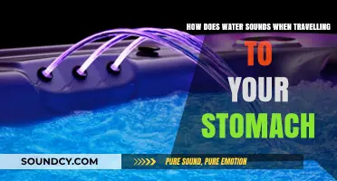 The Soothing Symphony: Water's Journey to Your Stomach Explored
