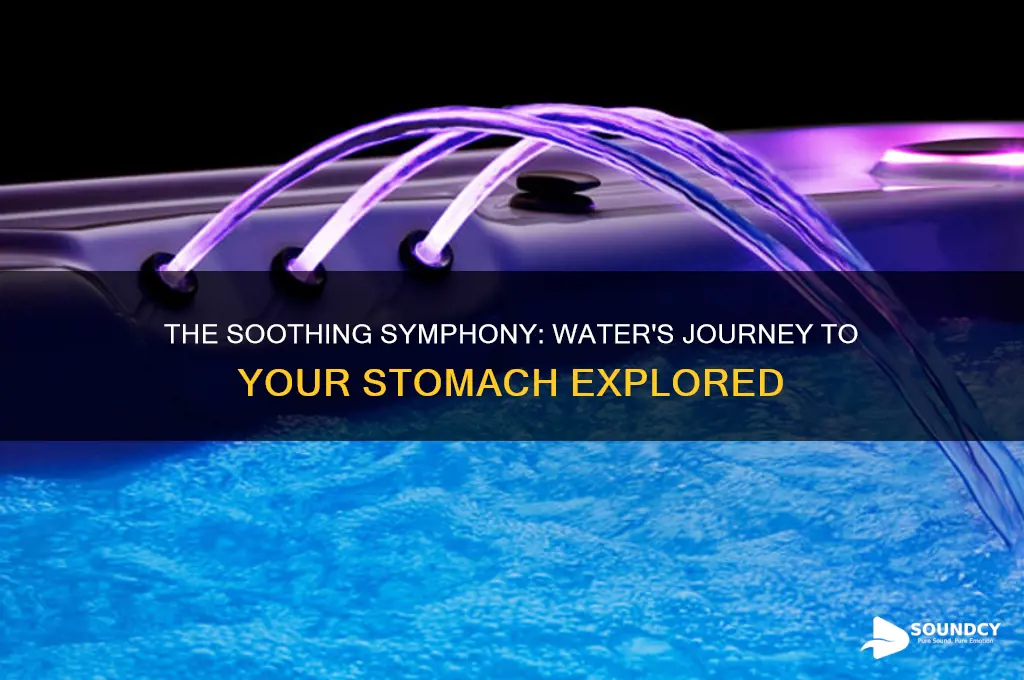 how does water sounds when travelling to your stomach