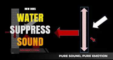 How Water Absorbs and Suppresses Sound: The Science Explained