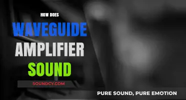 Exploring the Rich, Clear Audio Quality of Waveguide Amplifiers