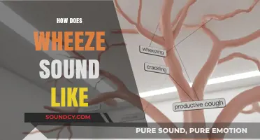 Understanding Wheezing: What Does a Wheeze Sound Like and Why?