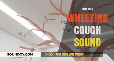 Understanding Wheezing Cough: Identifying Its Distinct Sound and Causes