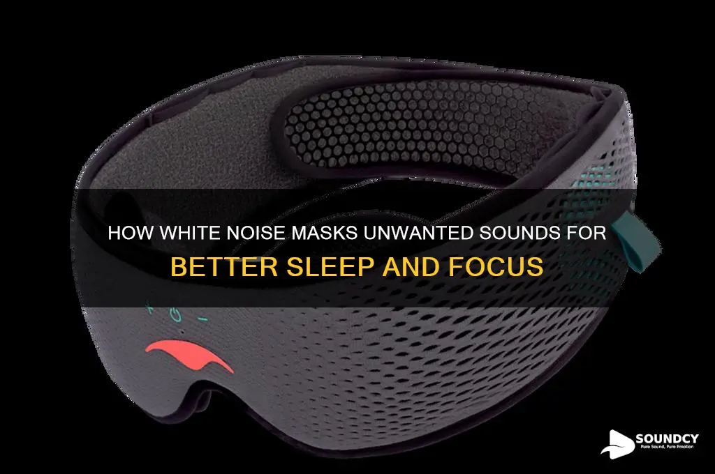 how does white noise block sound