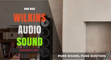 Exploring the Rich, Detailed Sound of Wilkins Audio Speakers